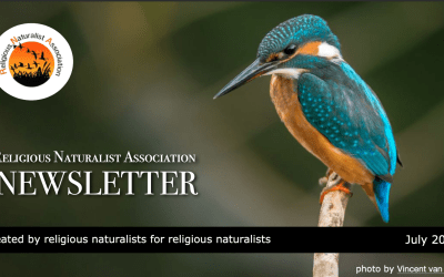 RNA Newsletter – July 2024