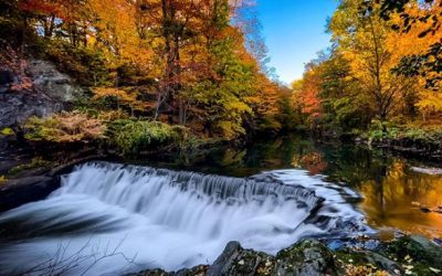 Lessons from the Brevity of Fall