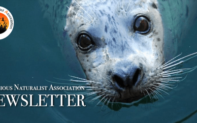 RNA Newsletter – January 2025