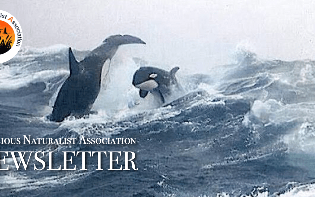 RNA Newsletter – February 2025