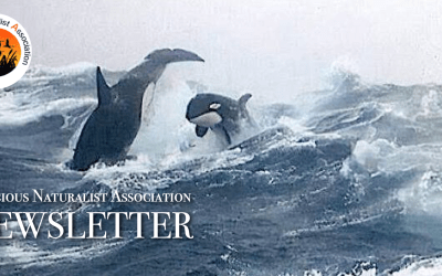RNA Newsletter – February 2025