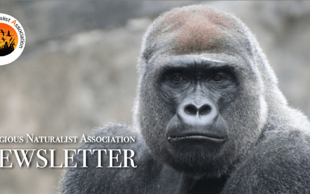 RNA Newsletter – March 2025