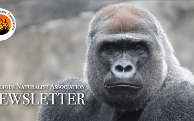 RNA Newsletter – March 2025