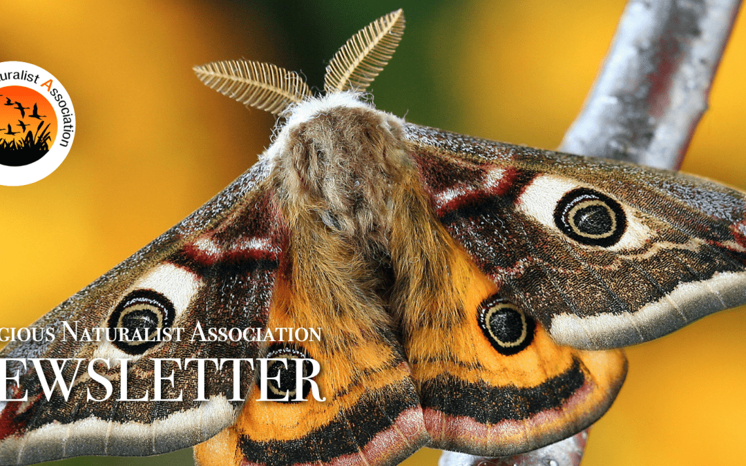 RNA Newsletter – April 2025