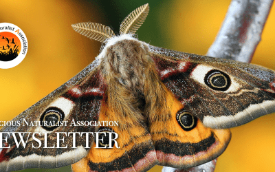 RNA Newsletter – April 2025