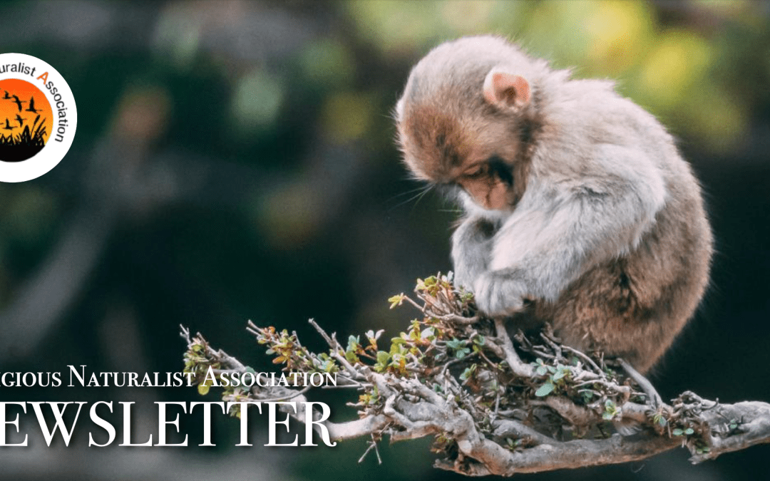 RNA Newsletter – May, 2025