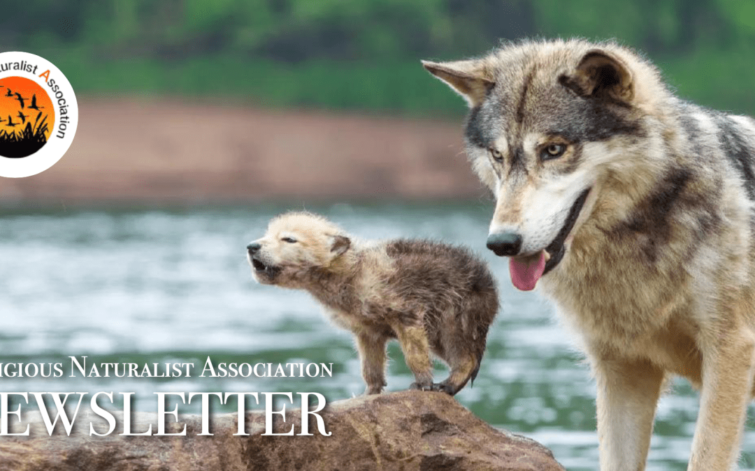 RNA Newsletter – June, 2025