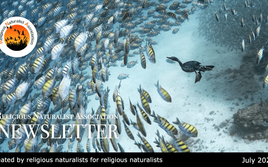 RNA Newsletter July, 2025