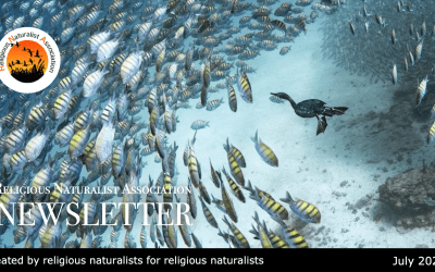 RNA Newsletter July, 2025