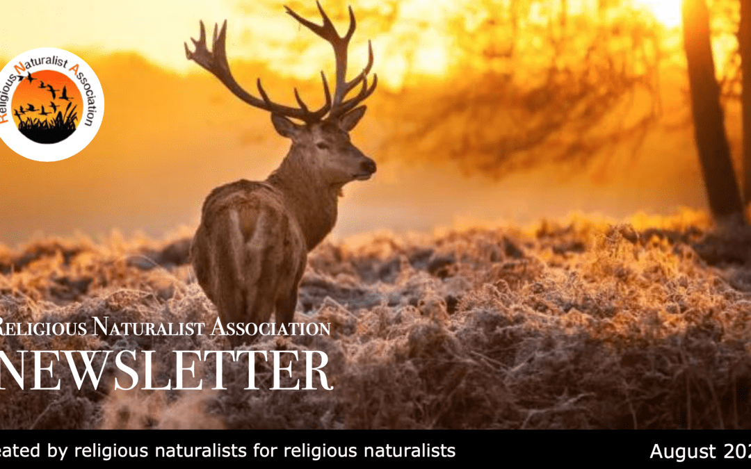 RNA Newsletter – August, 2025