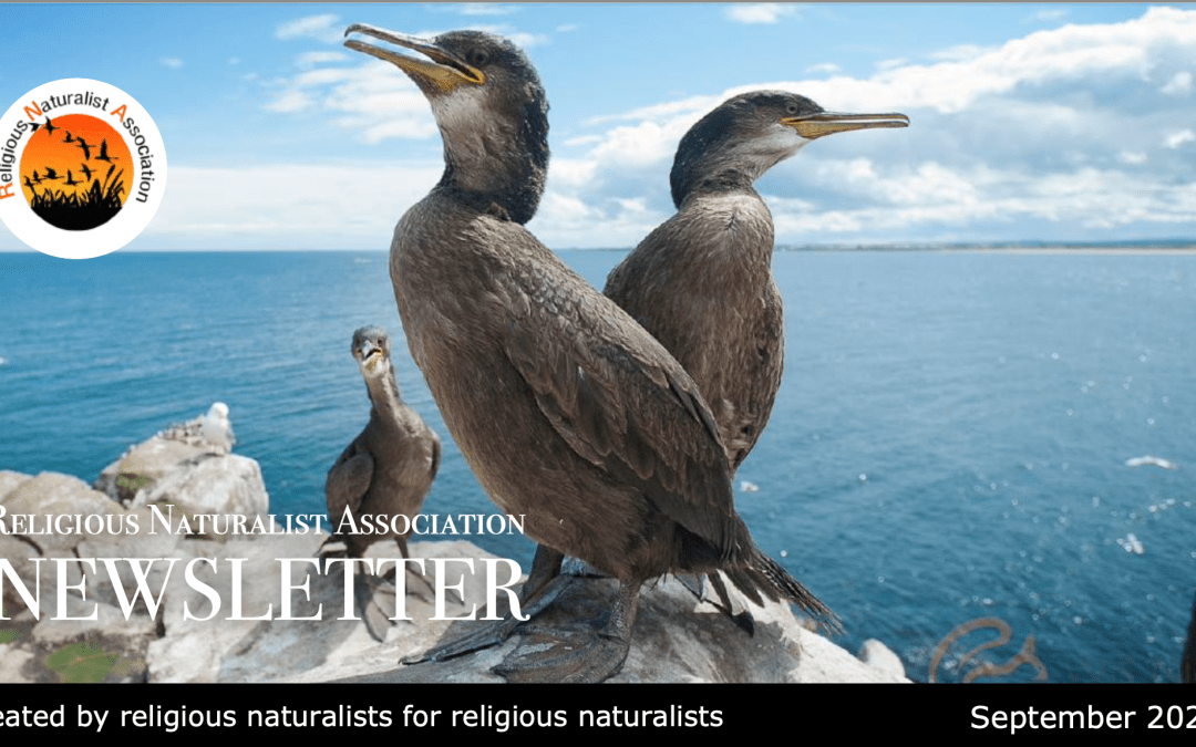 RNA Newsletter – September 2025