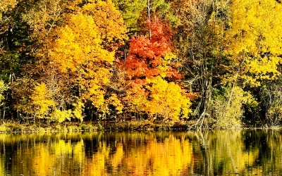 Autumn and a Lesson in Aging with Splendor