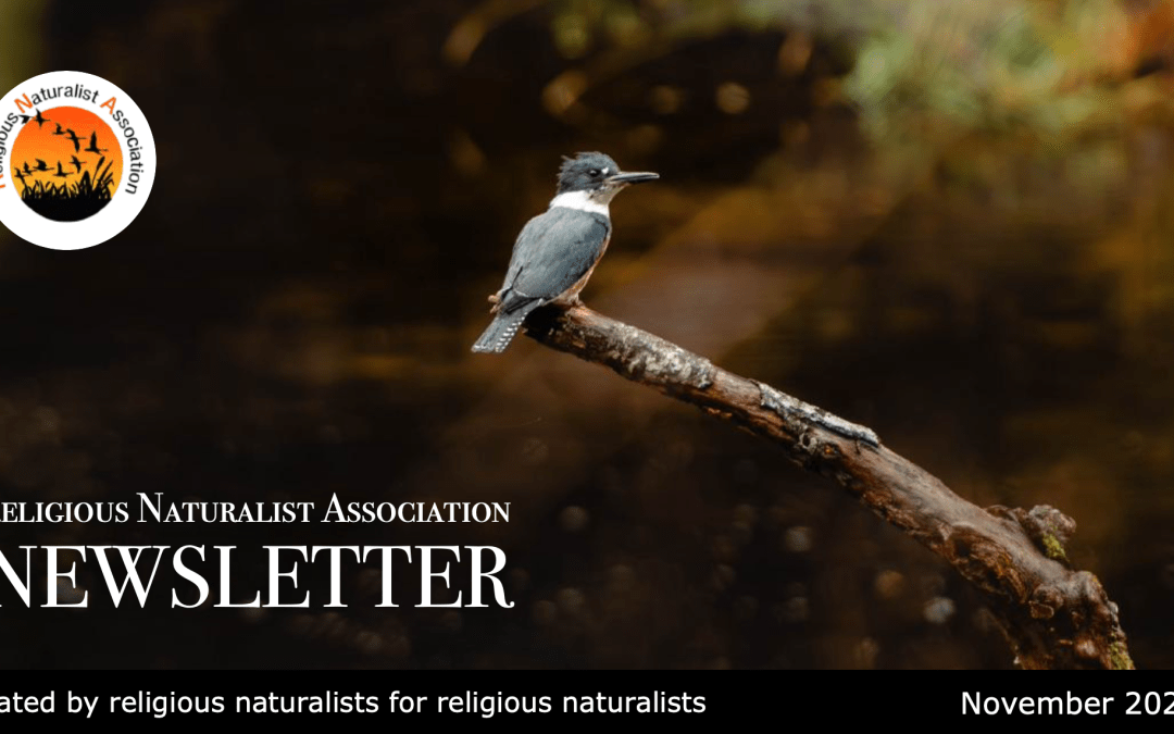 RNA Newsletter – November 2025