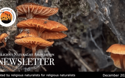 RNA Newsletter – December 2025