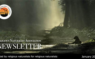 RNA Newsletter – January 2026