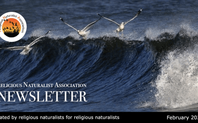 RNA Newsletter – February 2026