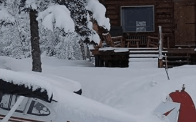 Log Cabin Reflections: Our Off-Grid Life on a Remote Alaskan Homestead