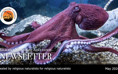 RNA Newsletter – May 2026