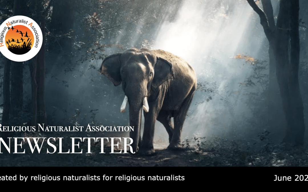 RNA Newsletter – June 2026