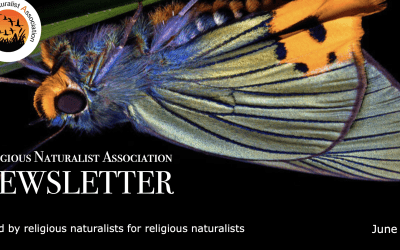 RNA Newsletter – July 2026