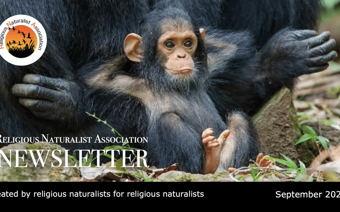 RNA Newsletter – September 2026