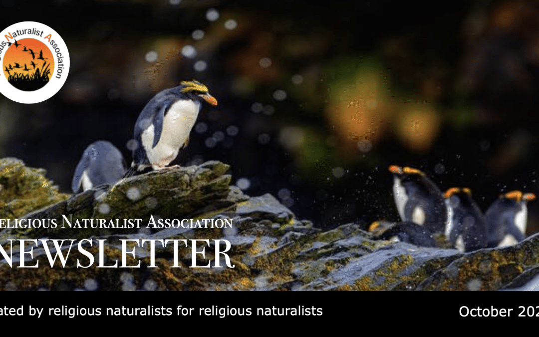 RNA Newsletter – October 2026